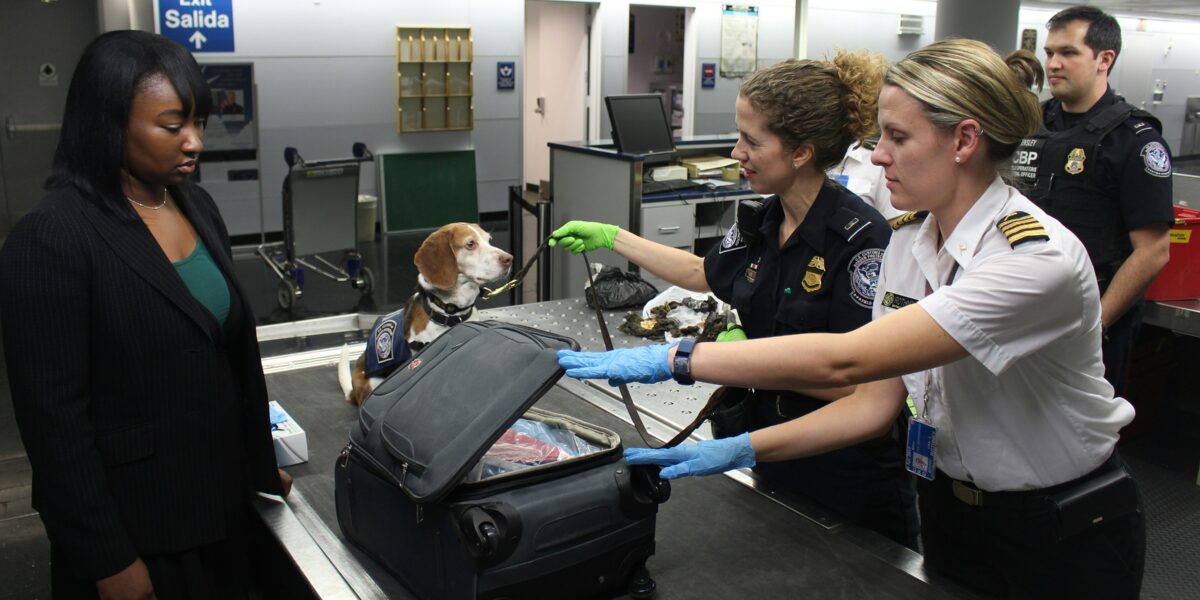 How to Find Your Gate Quickly at Any Airport