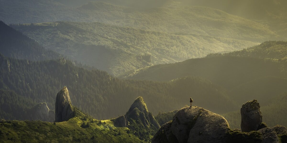 Fayetteville Regional Airport FAY What to Know Before You Fly