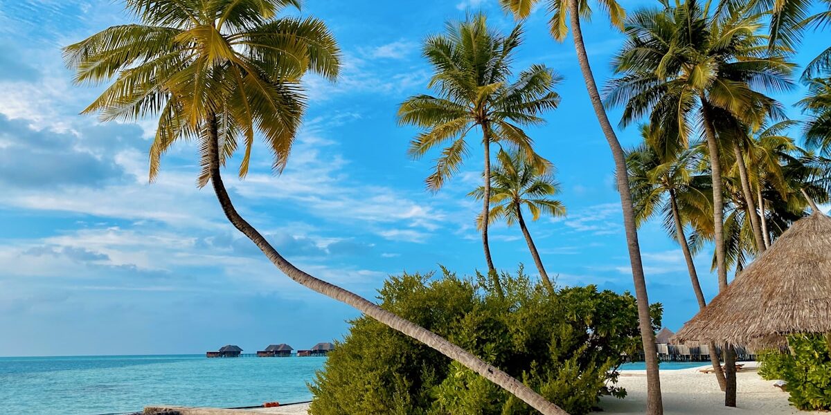 Lambert Airport Terminal 2 St Louis Southwest Hub Guide