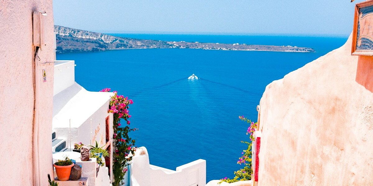 Tampa Airport Flamingos The Story Behind the Terminal Art