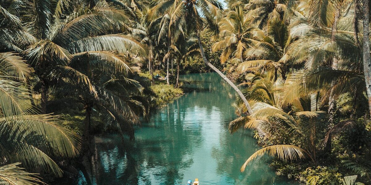 What Does PIE Stand For St Petersburg Airport Code Explained